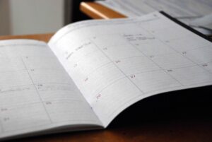New diary pages for Catalyx in 2019