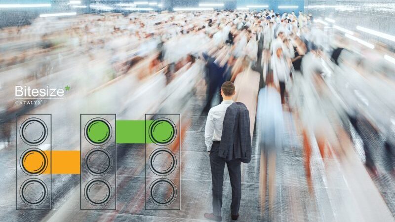 A crowd moving at speed to depict the fast changing consumer market. With a blurred speed affect applied. A three traffic light graphic in the bottom left corner with Bitesize and Catalyx logo above it